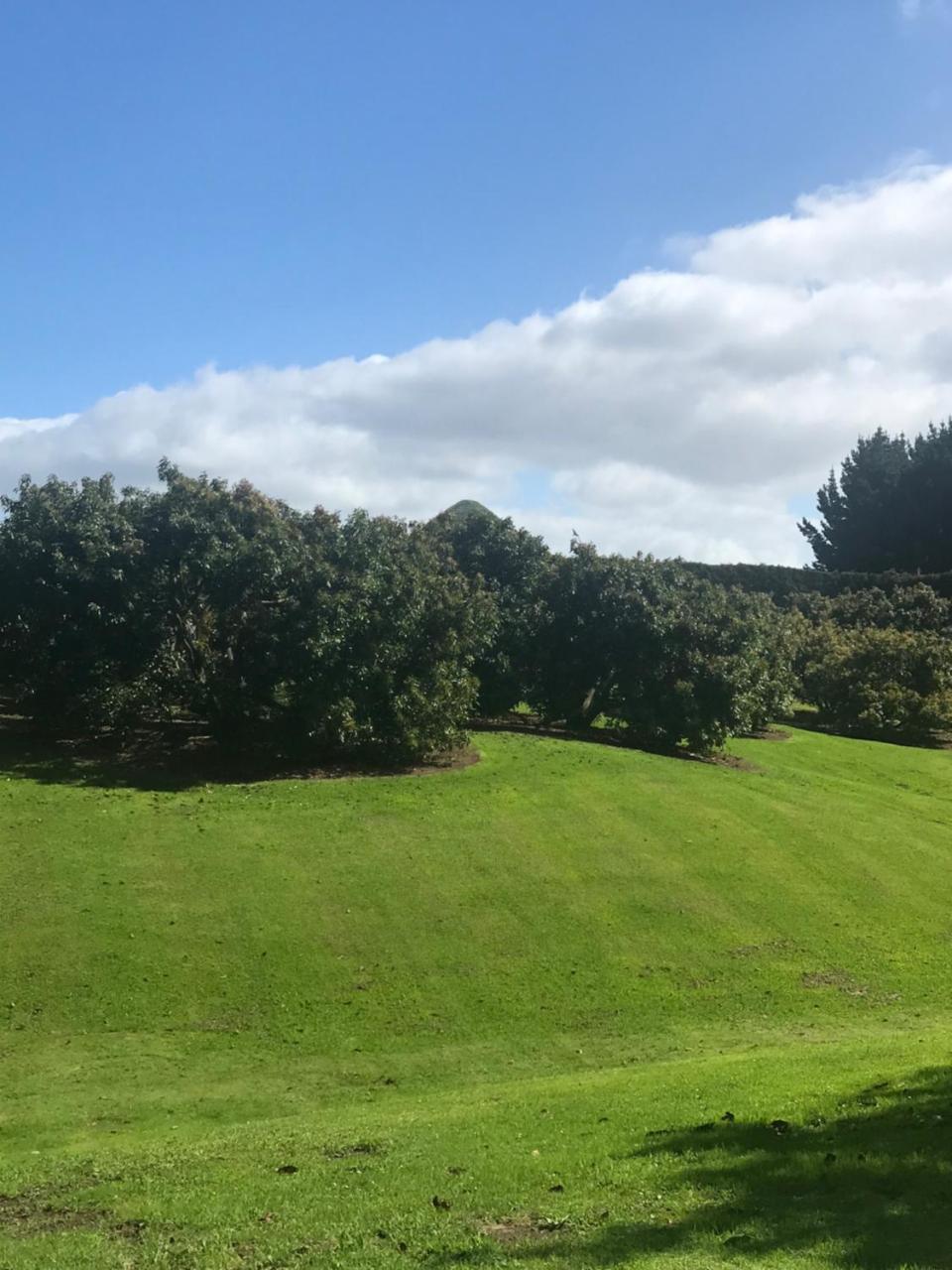 Paradise Grove Whangamata Exterior photo