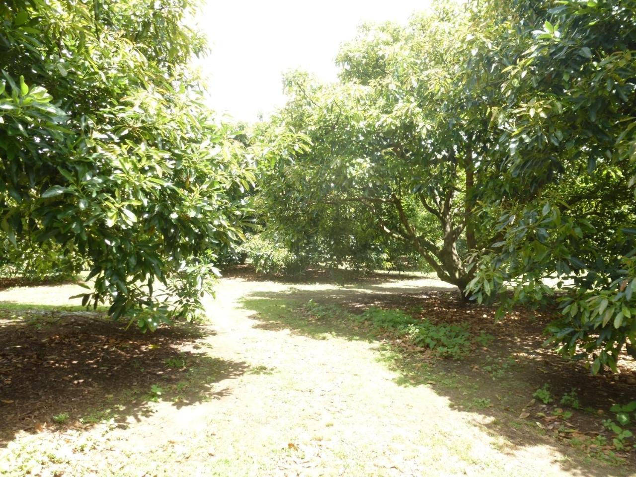 Paradise Grove Whangamata Exterior photo